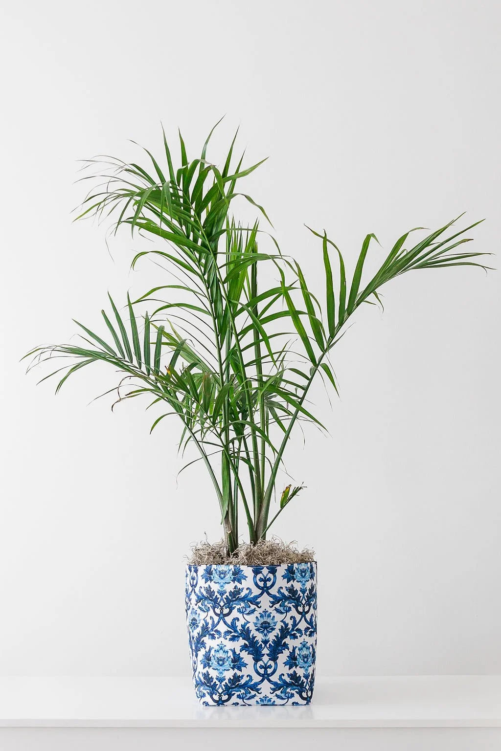 So.CachePot - Pot Covers