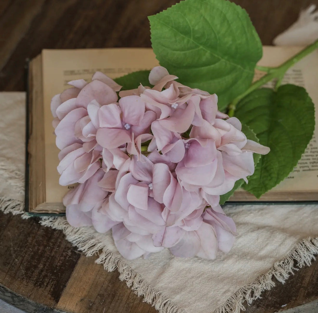 Blush Garden Hydrangea Stem – 19”