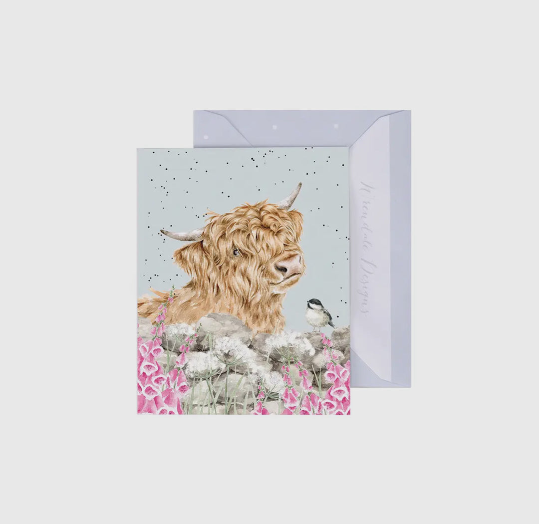 Mini Gift Enclosure Cards