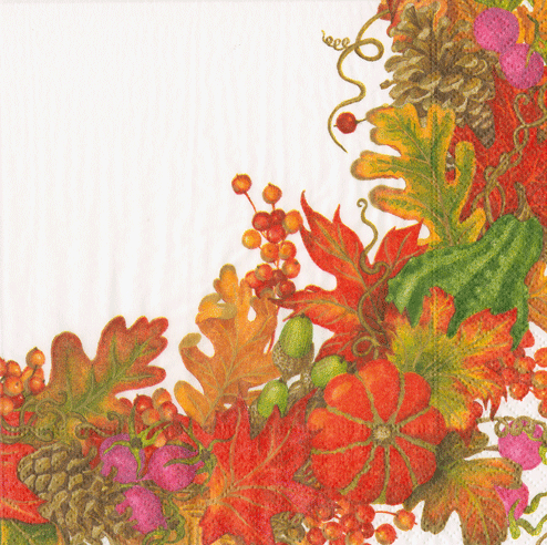 Caspari Autumn Abundance Napkins