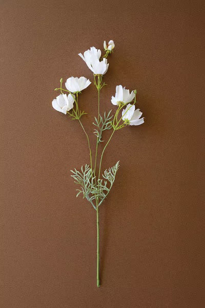 White Cosmos Stem – 24”