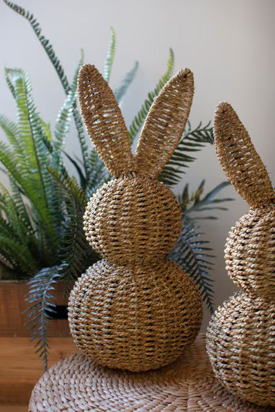 The Willow Bunny