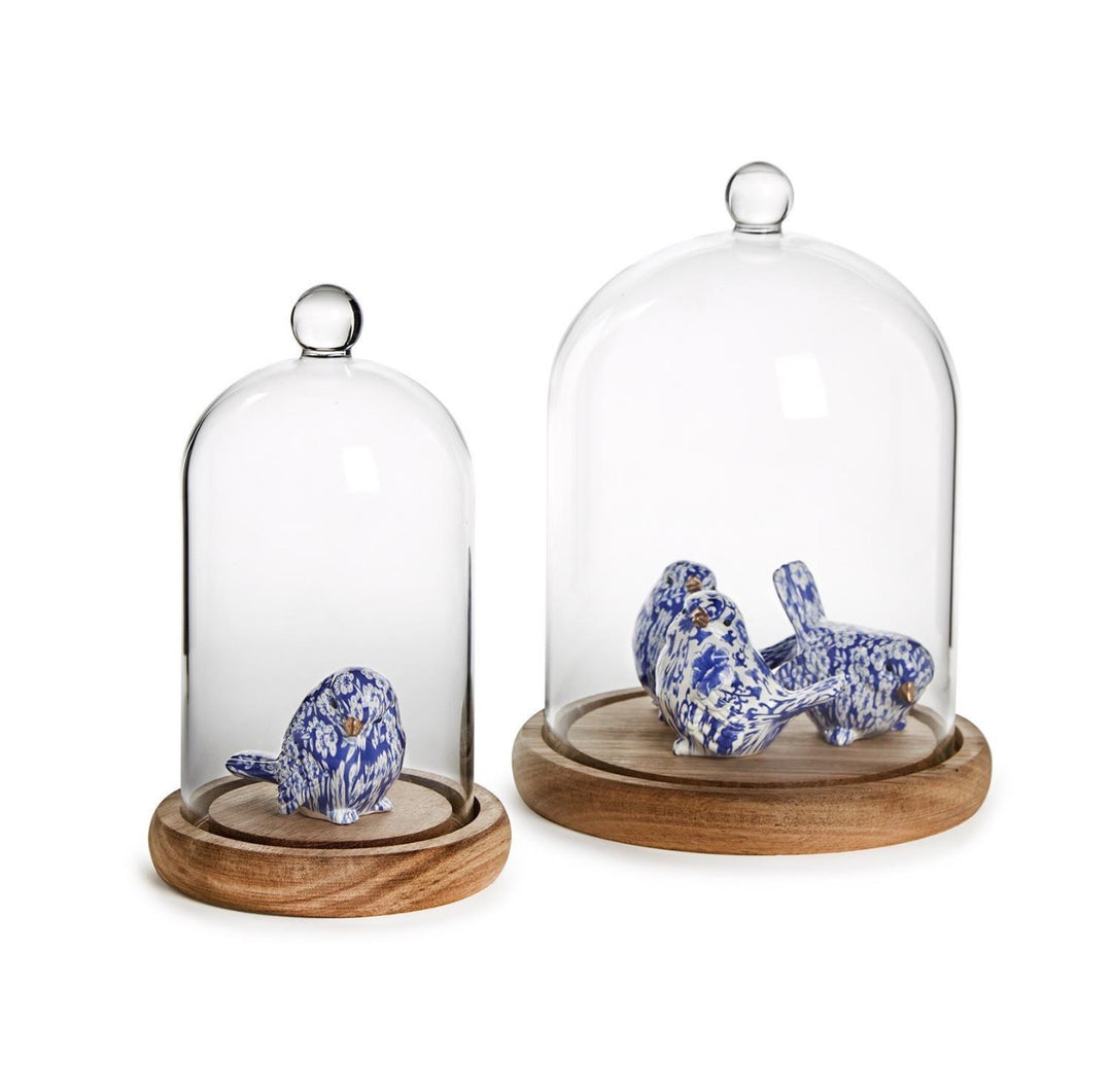 Glass Cloche with Wood Base