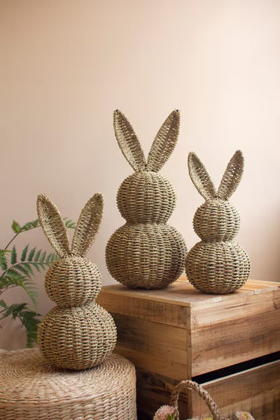 The Willow Bunny