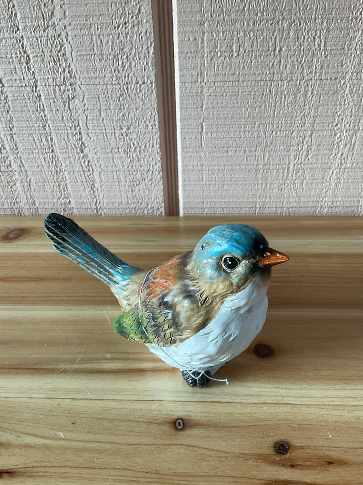 Colorful Yard Birds