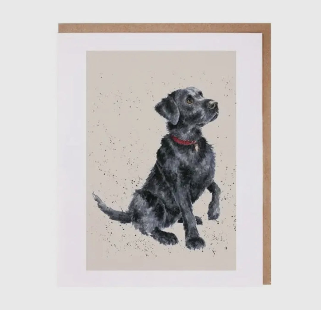 Greeting Cards - 5x7