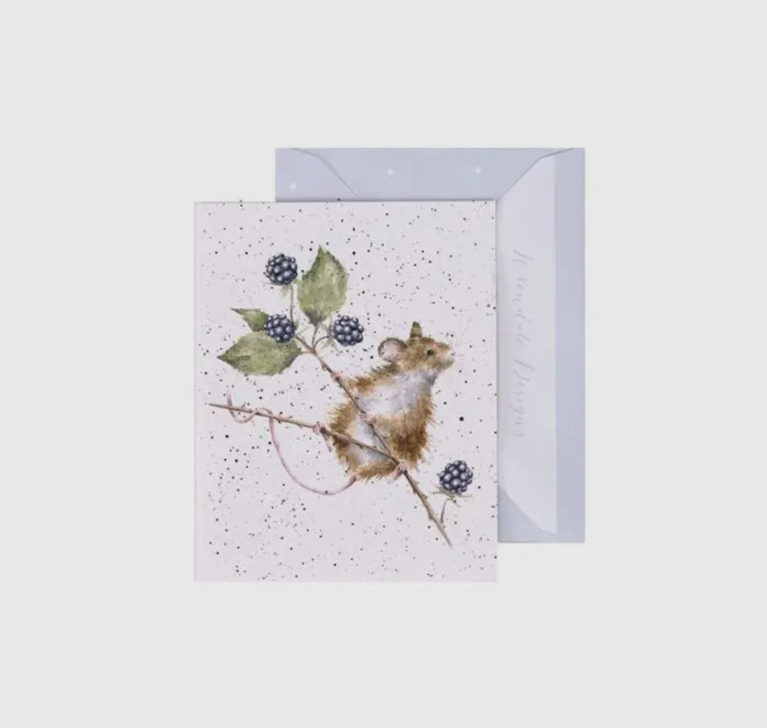 Mini Gift Enclosure Cards