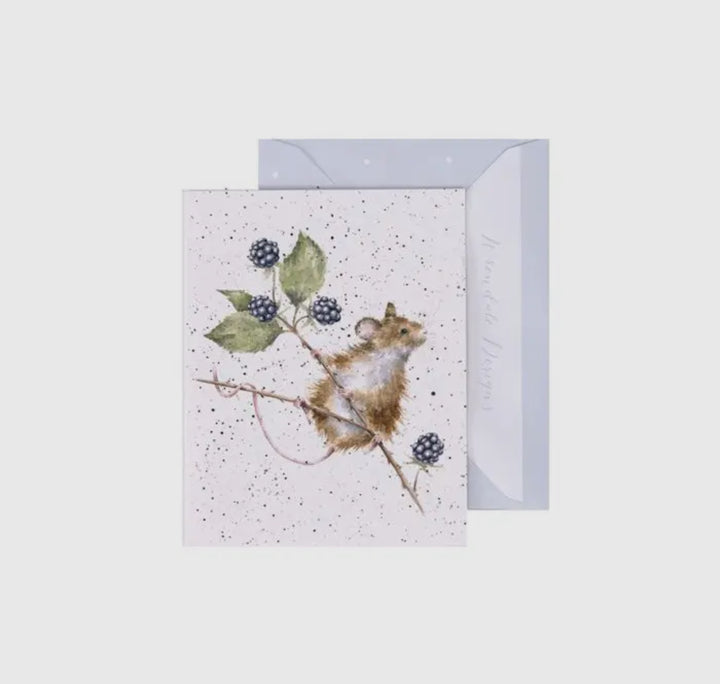 Mini Gift Enclosure Cards