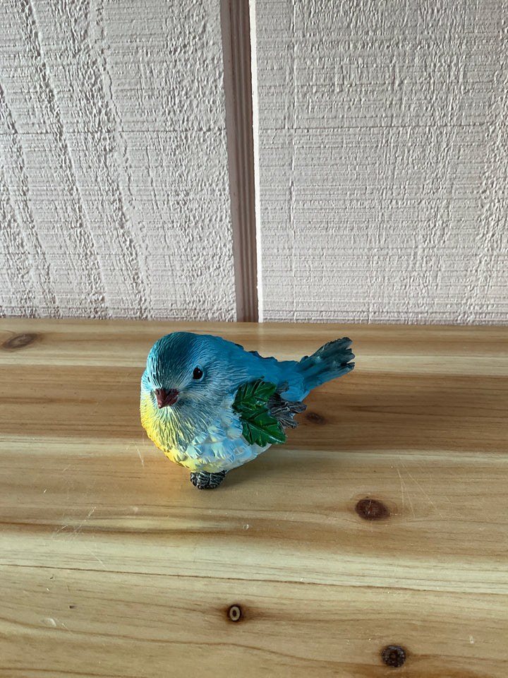 Colorful Feathered Birds