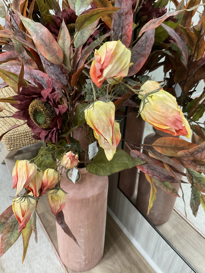 Withered Chinese Lanterns