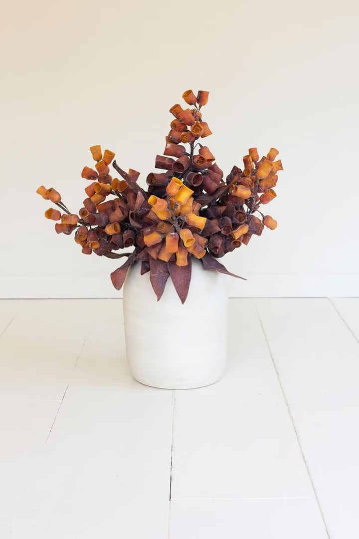 Dried Eucalyptus Gum Nut Stem