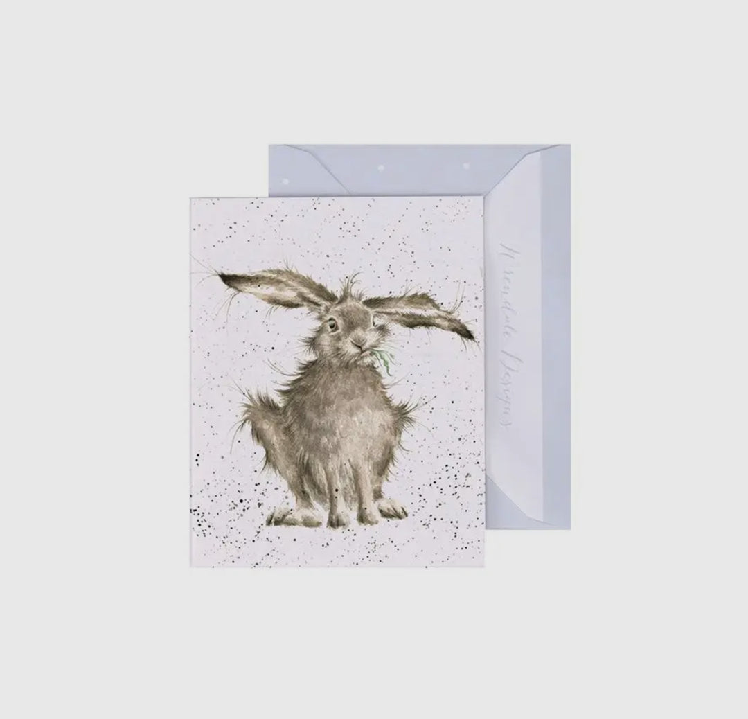 Mini Gift Enclosure Cards