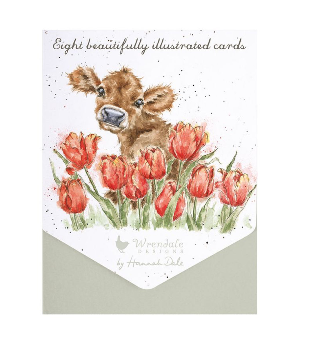 Boxed Greeting Cards