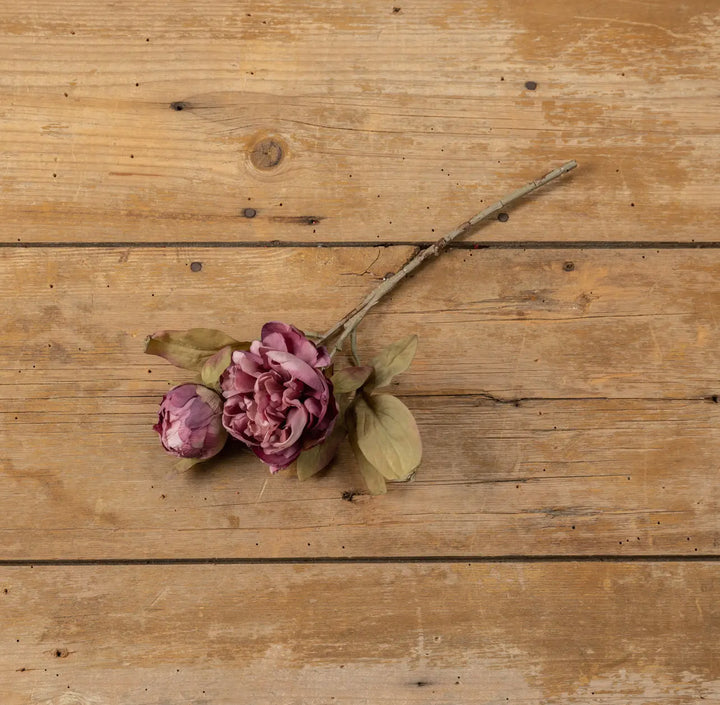 13” Dried Purple Peony Stem