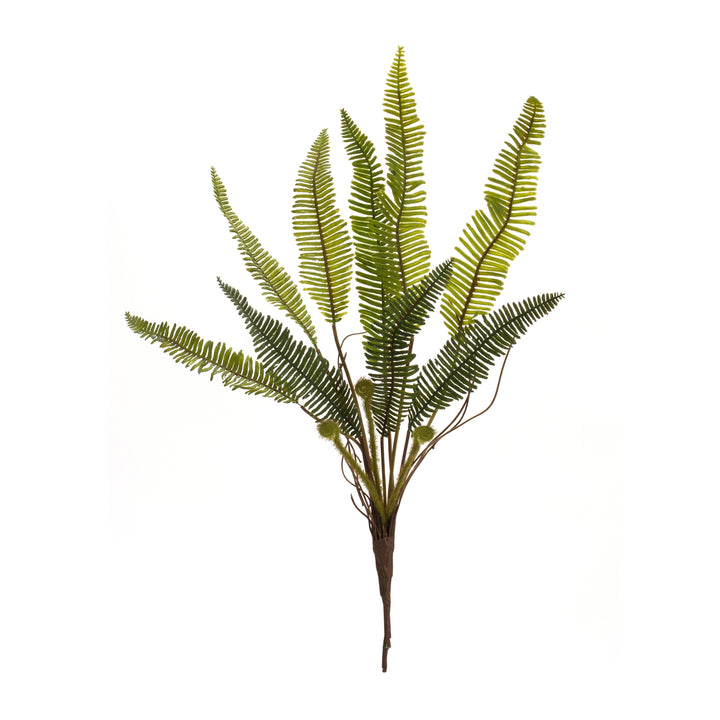 Woodland Fern Pick