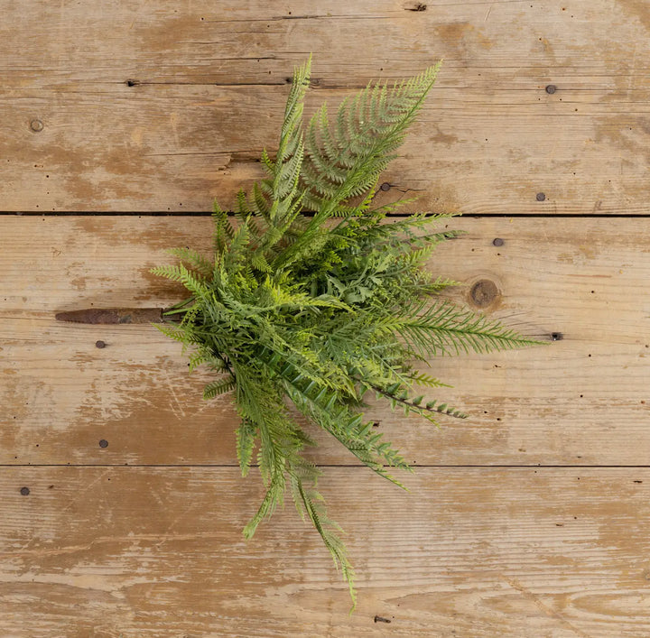 16” Mixed Fern Bush