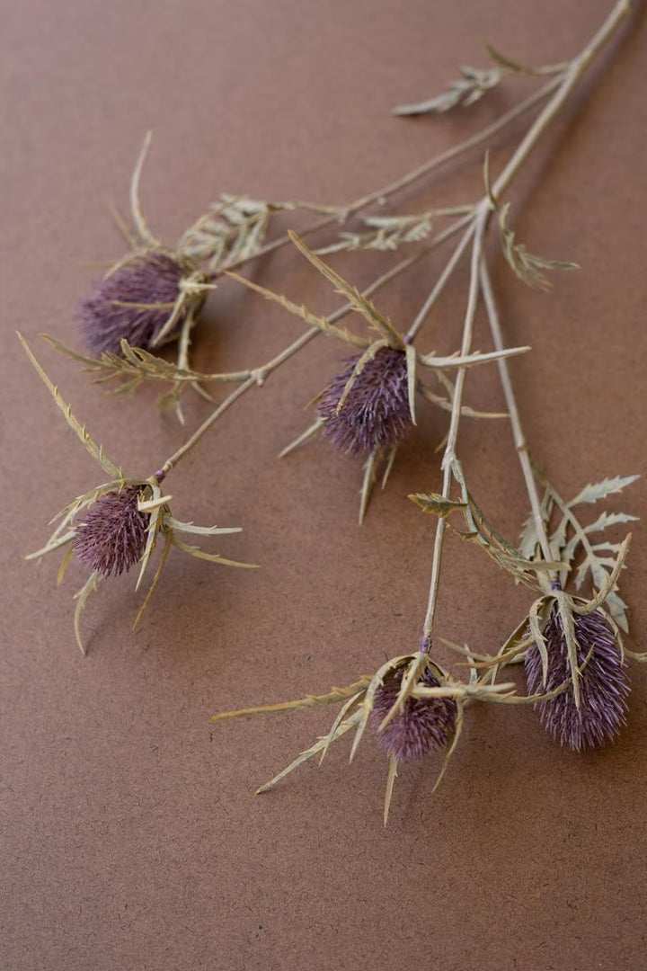 Thistle Stem