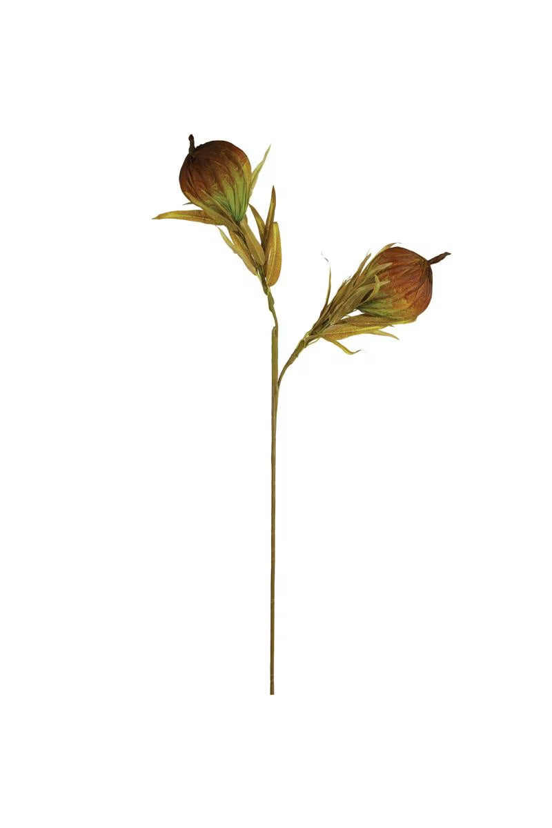 Autumn Lotus Pod Stem