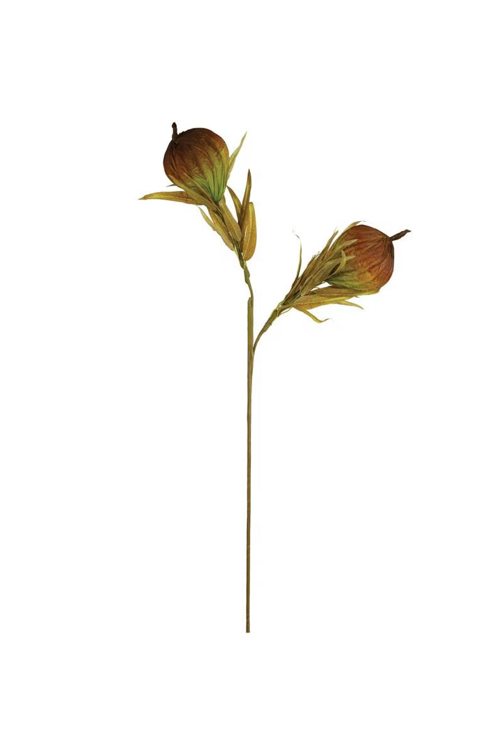 Autumn Lotus Pod Stem