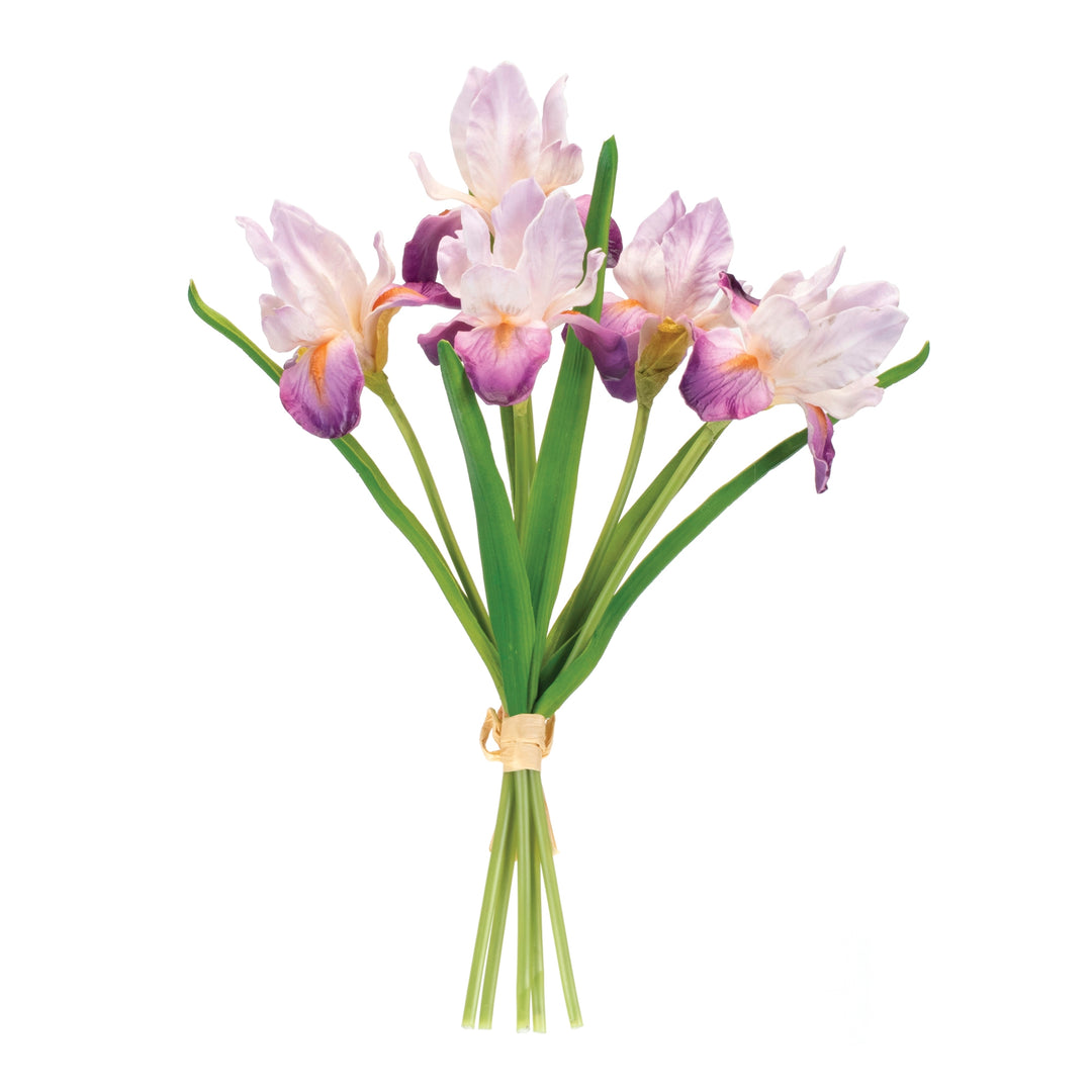 Blushing Garden Iris Bouquet