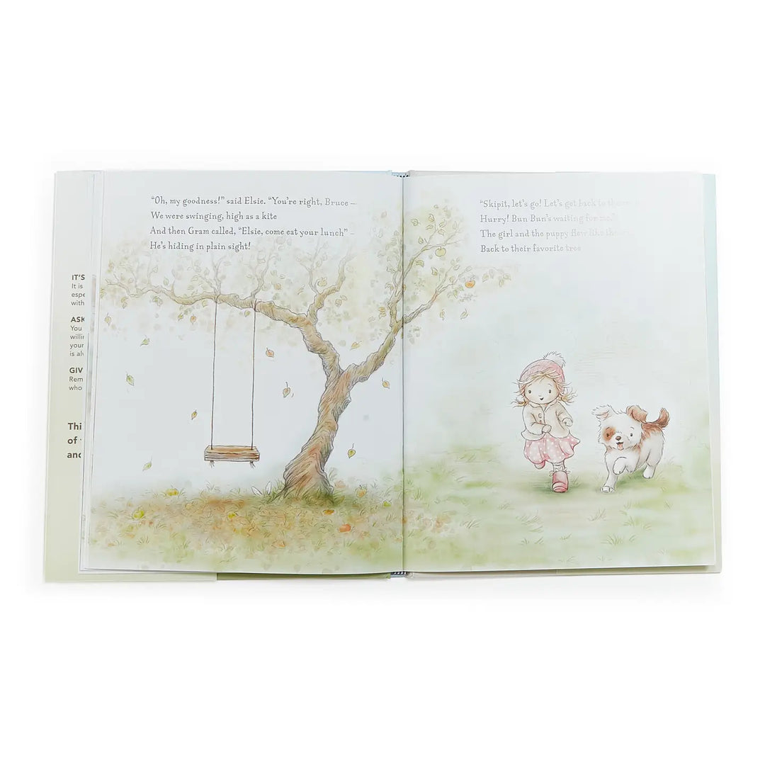 Bun Bun: A Lovey Story Book