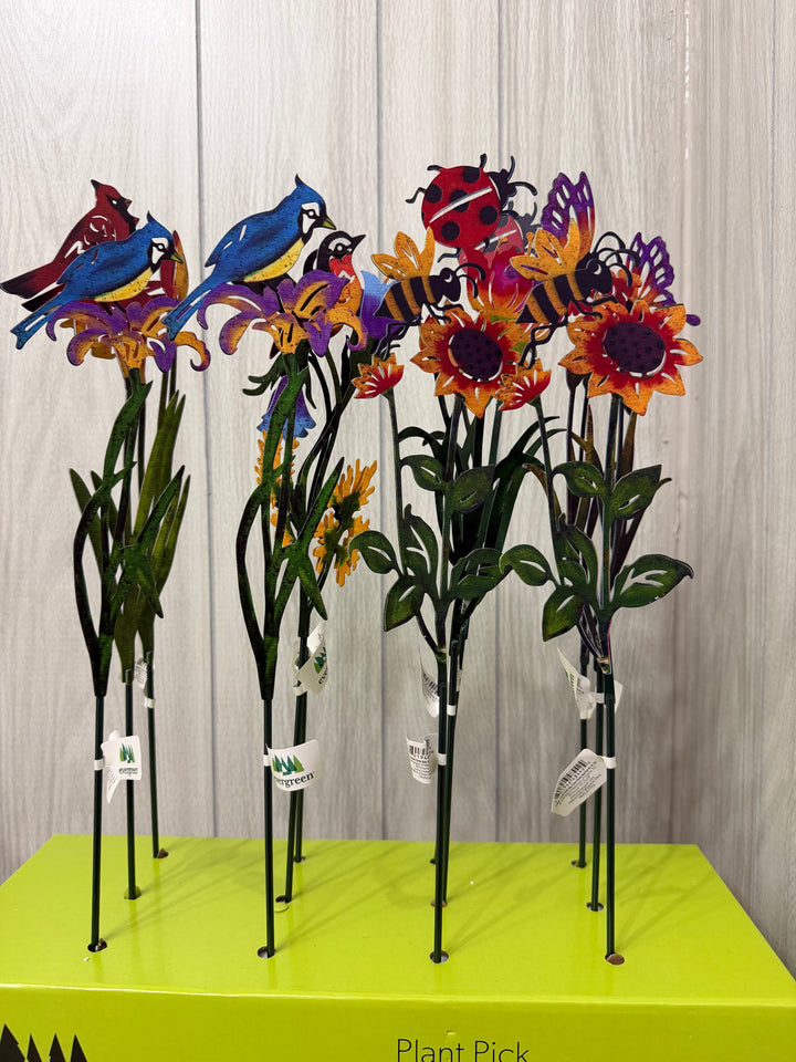 Meadow Friends Garden Plant Picks