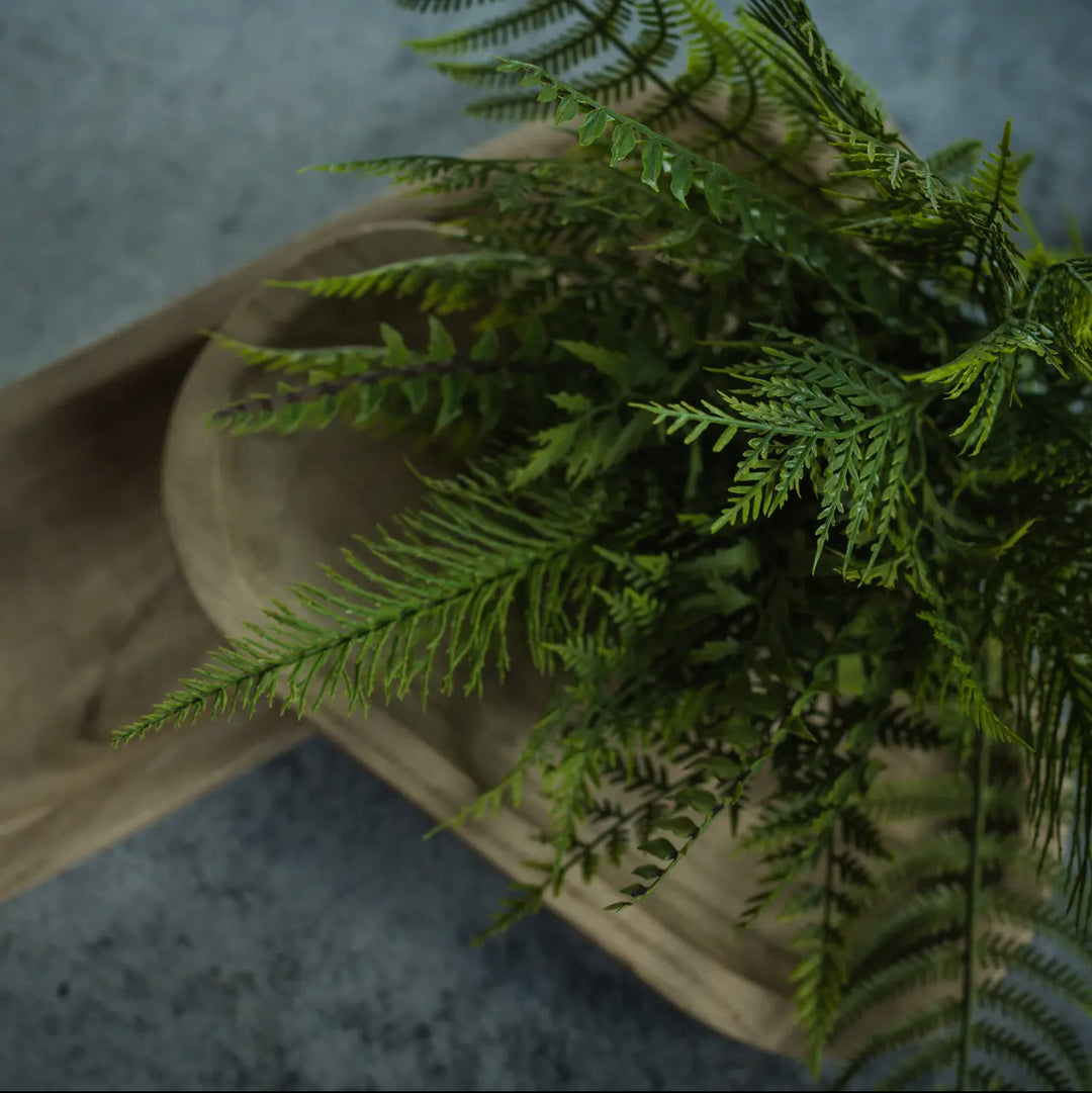 16” Mixed Fern Bush