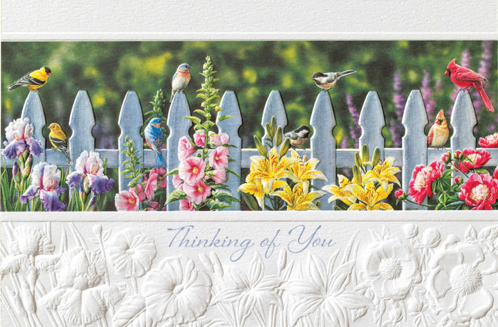 Pumpernickel Press Greeting Cards