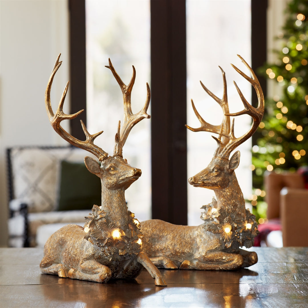 Golden Glow Resting Deer