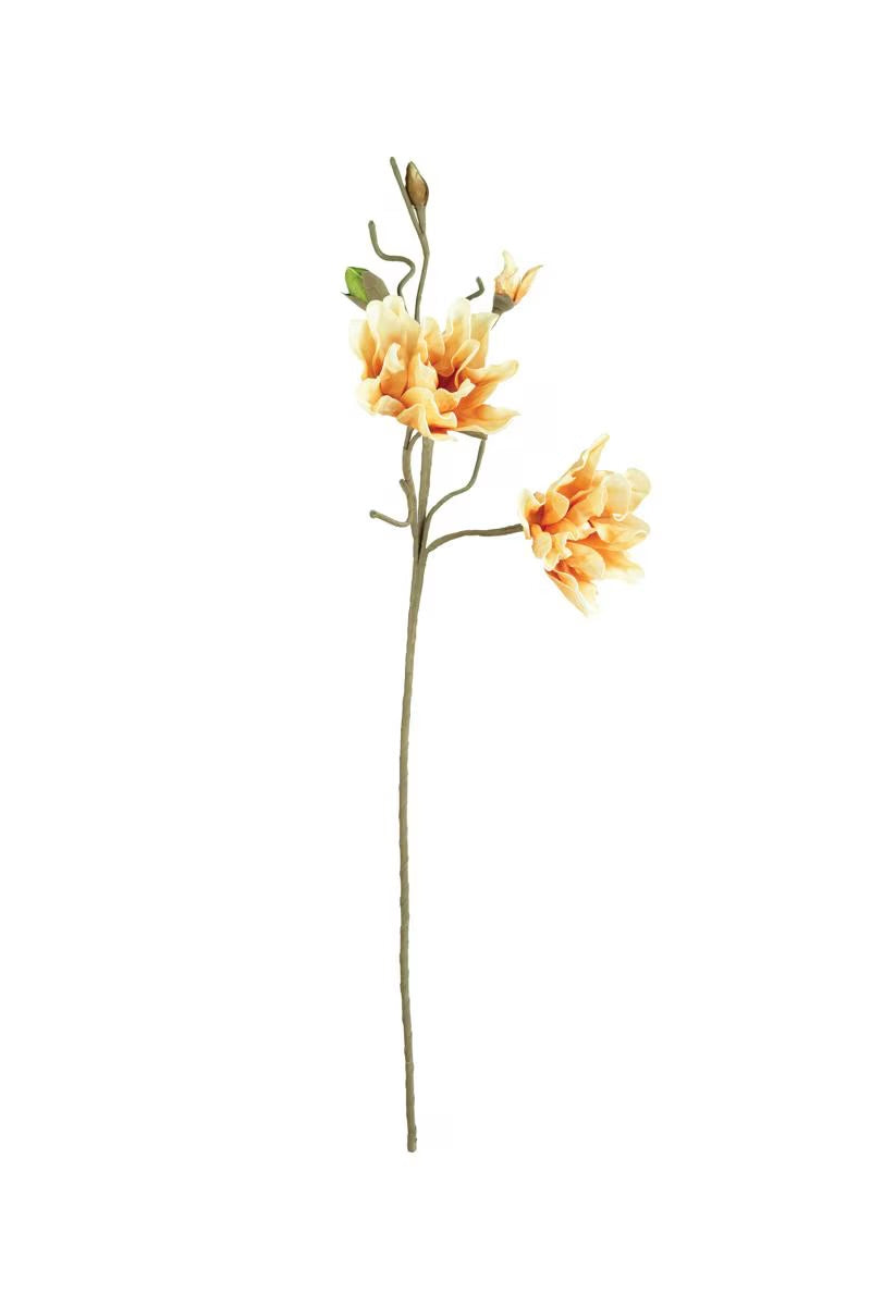 Peach Magnolia Stem
