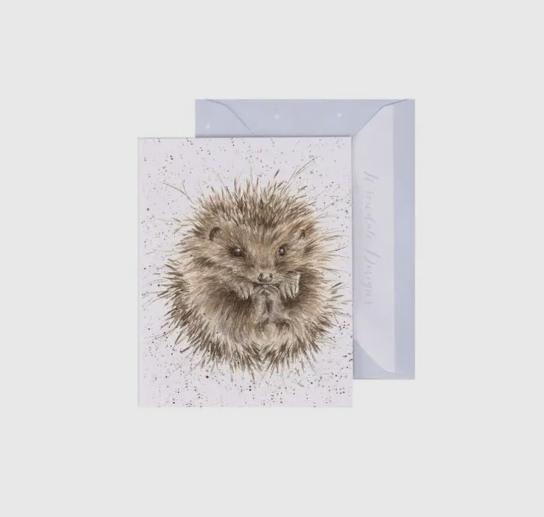 Mini Gift Enclosure Cards