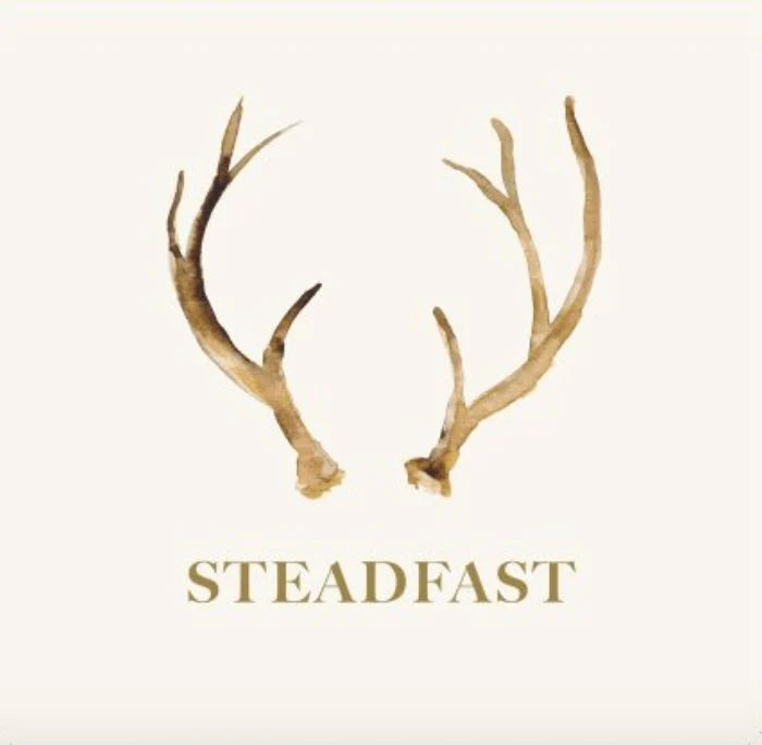 Steadfast Antler Notepad