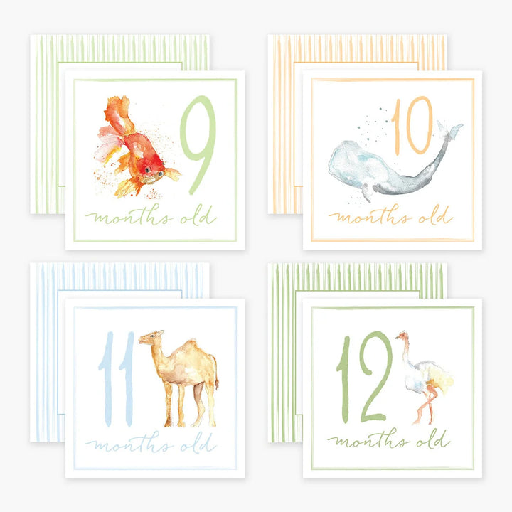 Little Moments Baby Milestone Cards