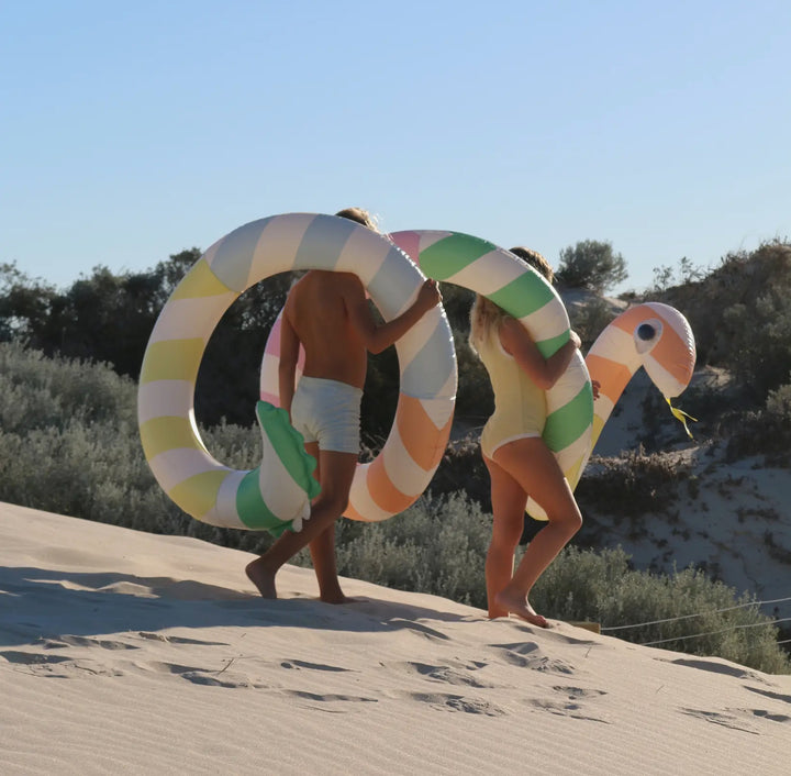 Sorbet Stripe Giant Inflatable Pool Noodle