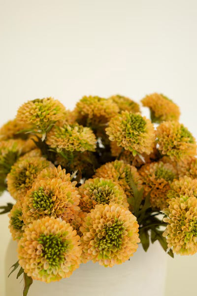 Dahlia Bunch – 18”