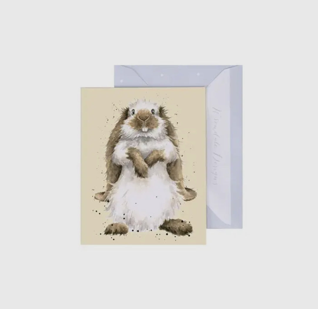 Mini Gift Enclosure Cards