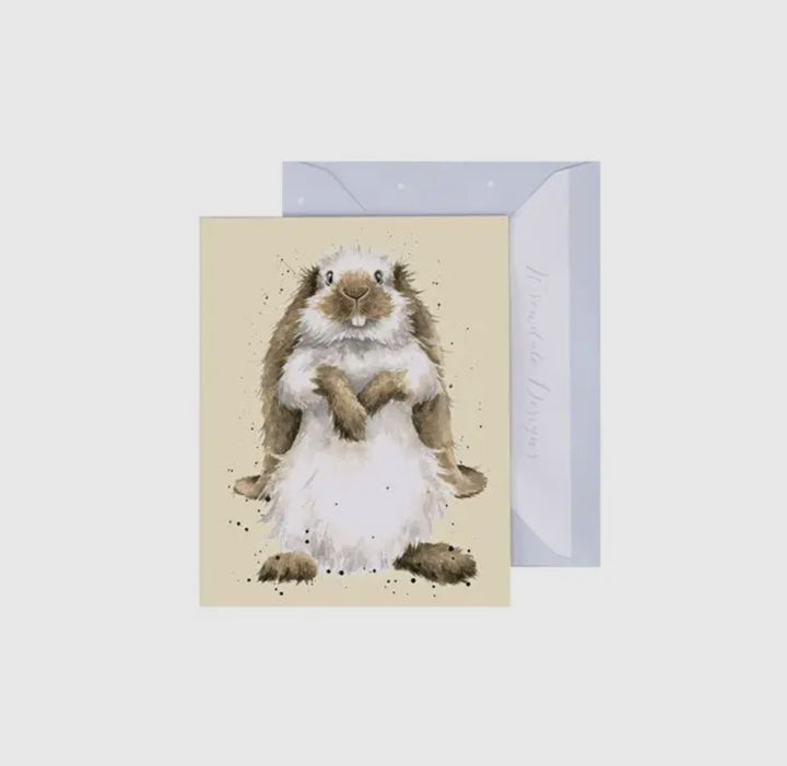 Mini Gift Enclosure Cards
