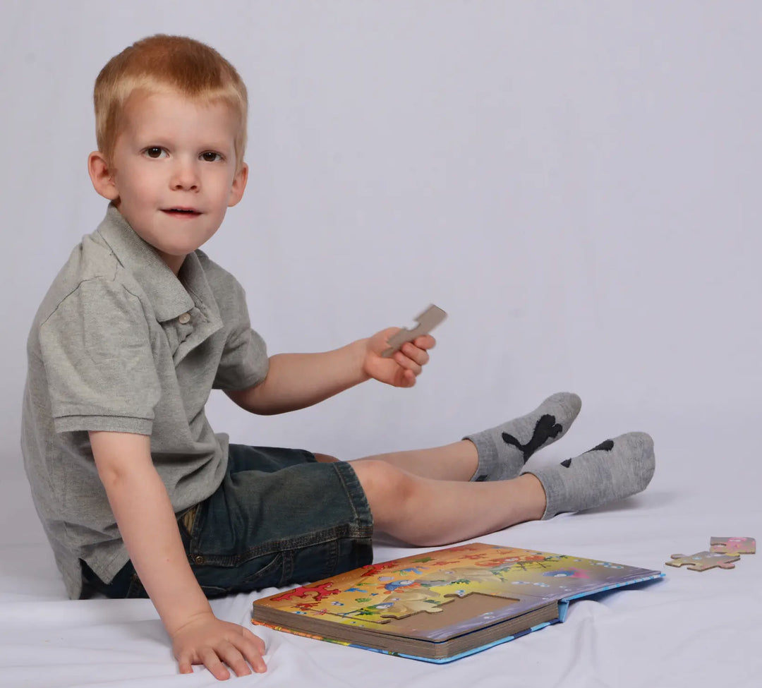 Little Explorer Puzzle Book Collection
