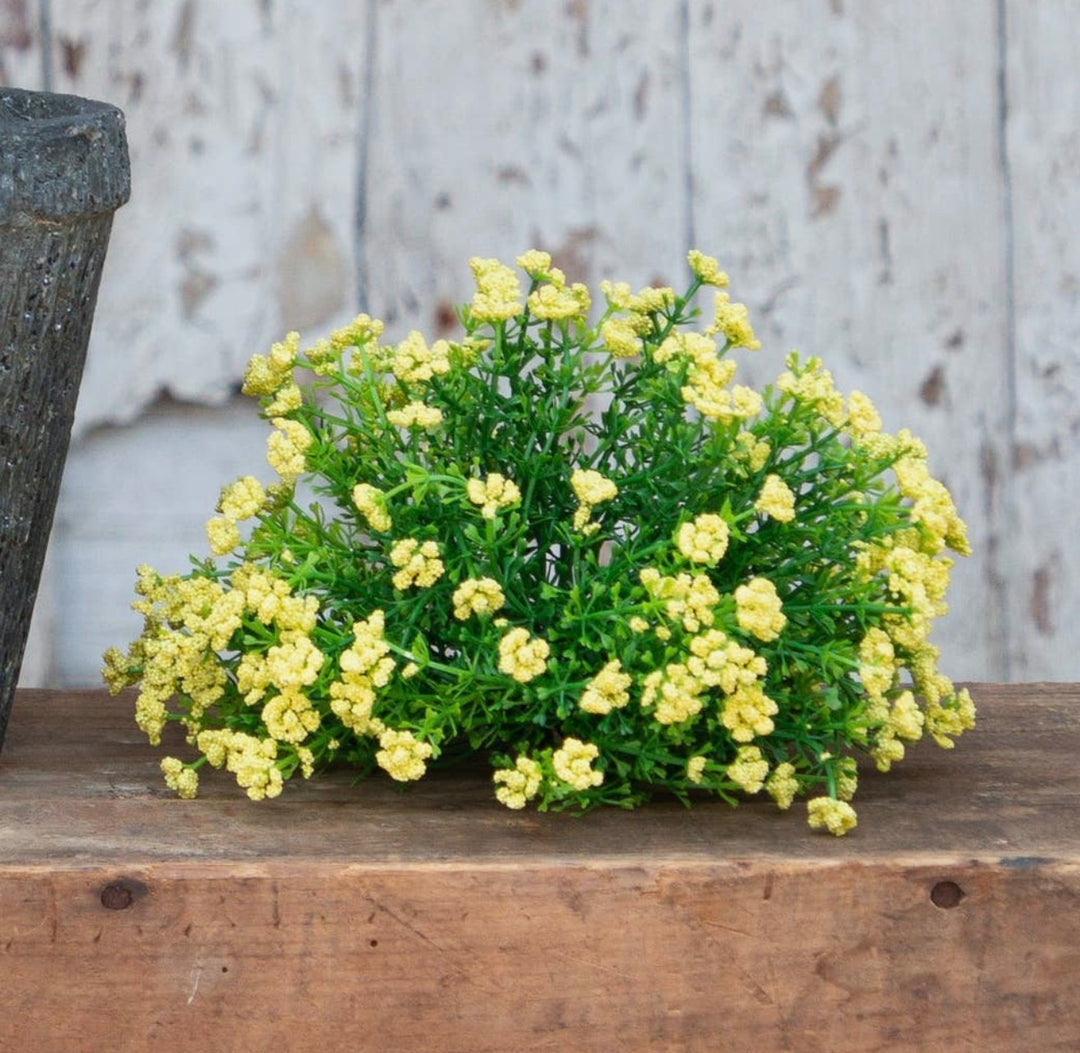 Petite Meadow Half-Round Bush