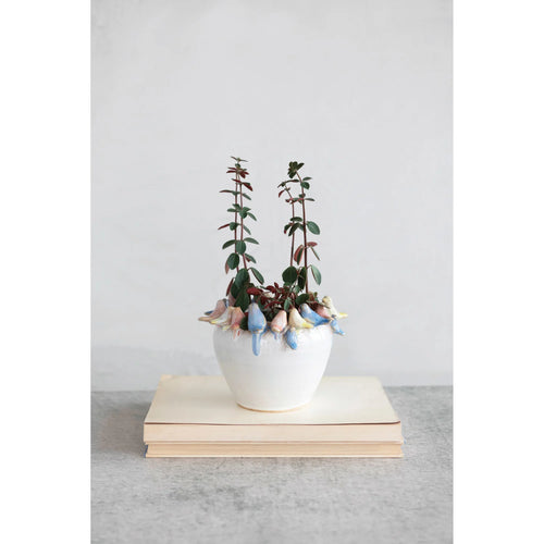 Planter with Bird Rim