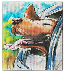 Eco-Friendly Dishcloth