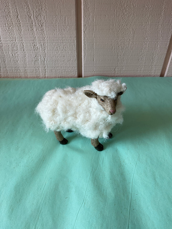 Sheep