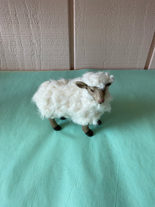 Sheep