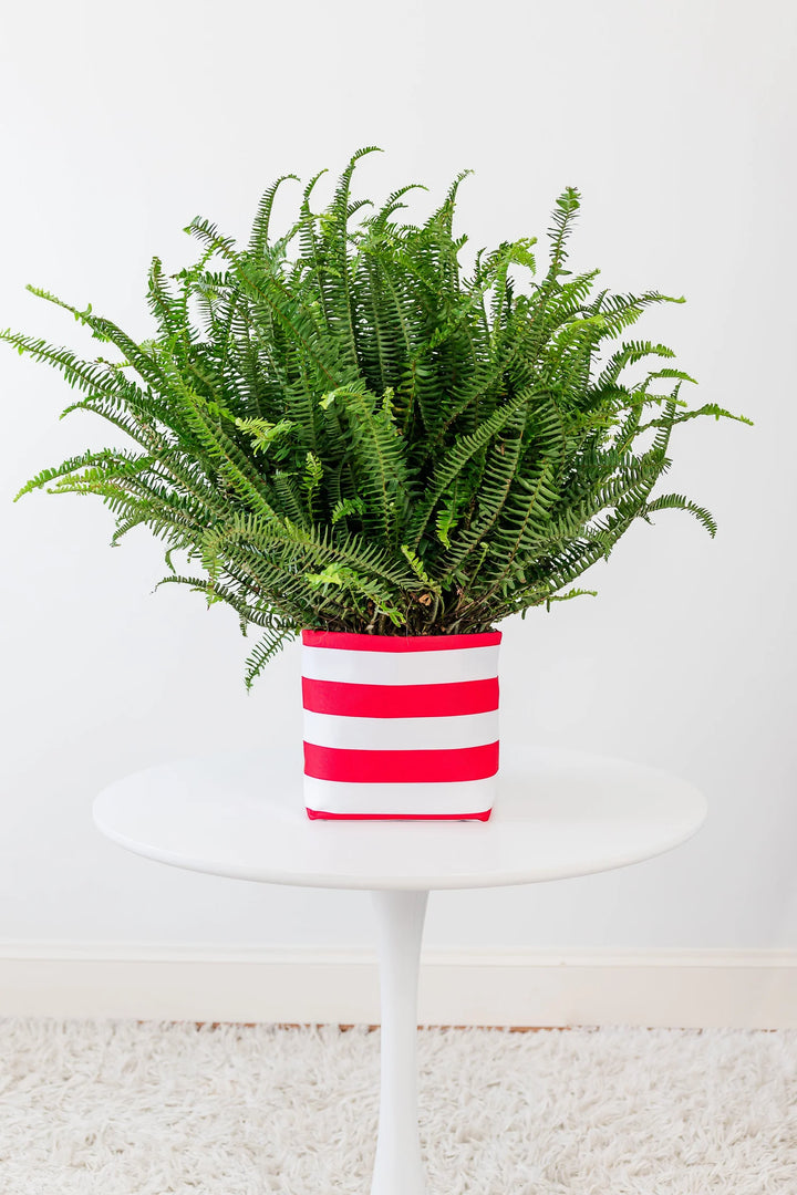 So.CachePot - Pot Covers