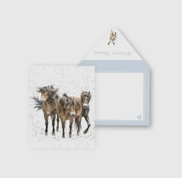 Mini Gift Enclosure Cards