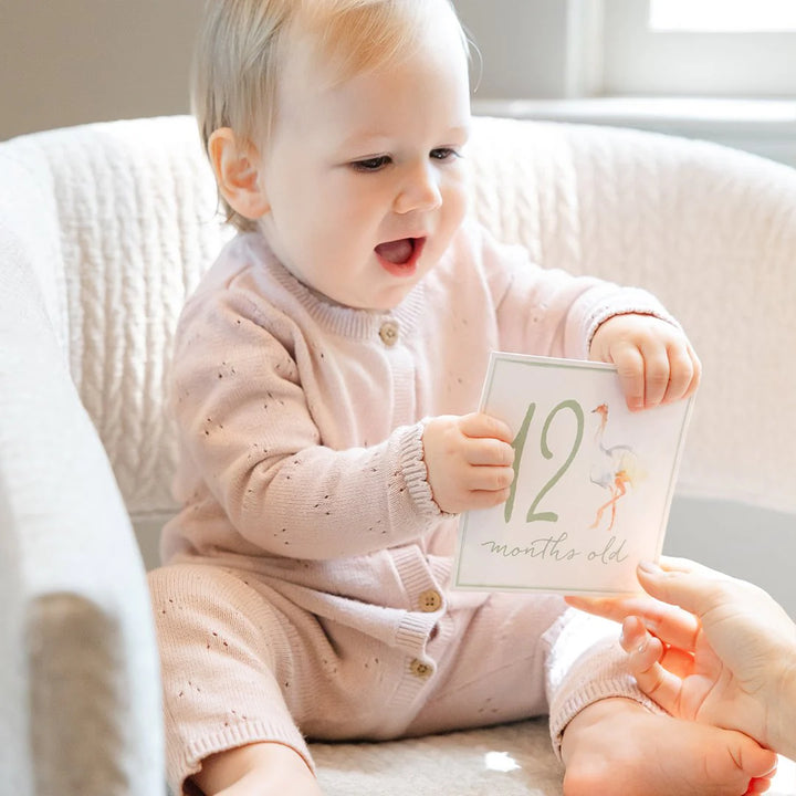 Little Moments Baby Milestone Cards