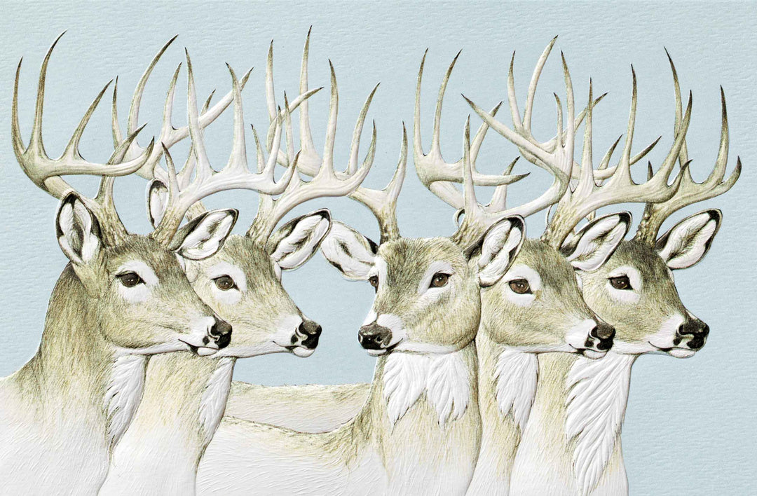 Pumpernickel Press Greeting Cards