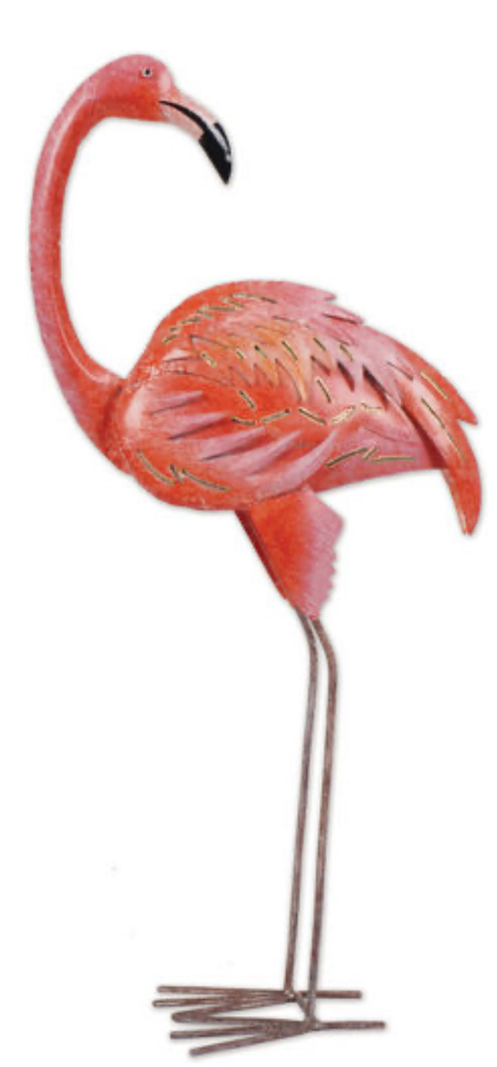 Flamingo D,Cor