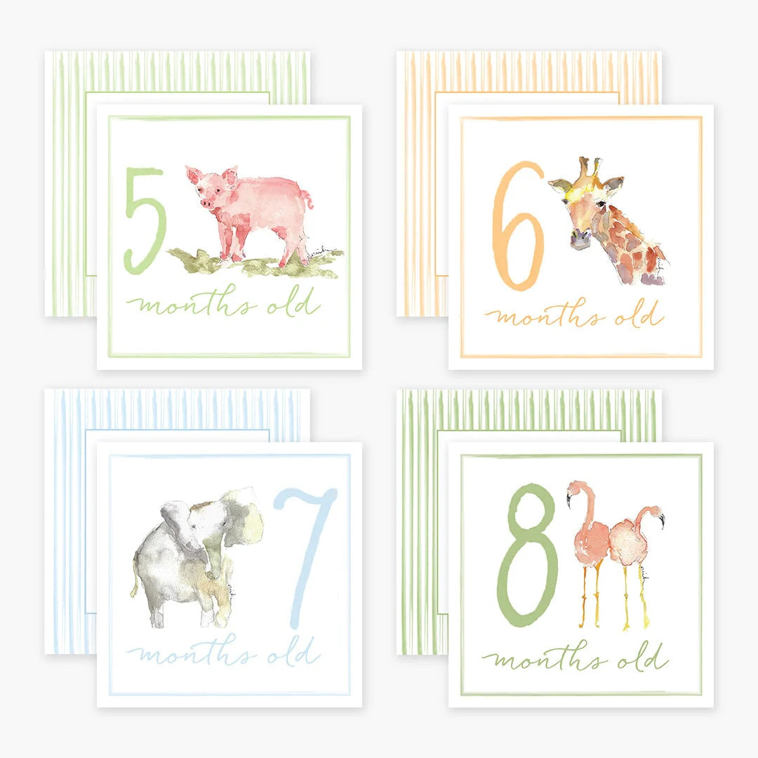 Little Moments Baby Milestone Cards