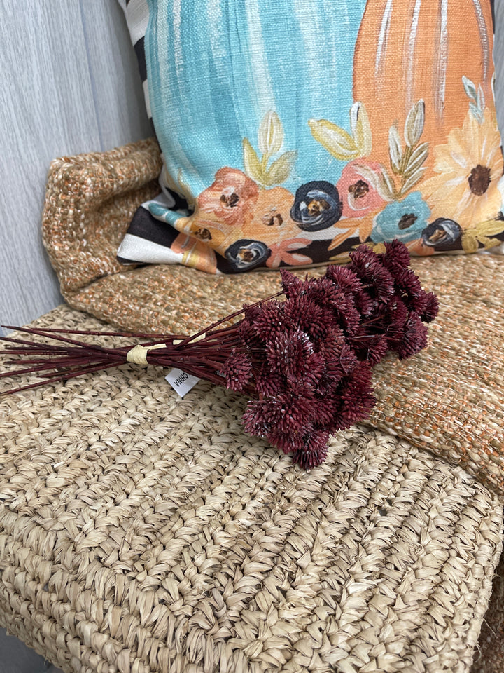 Crimson Thistle Bloom Stem